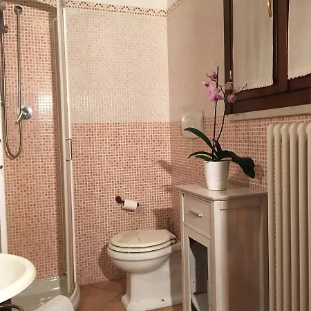 L'alveare Scorzarolo